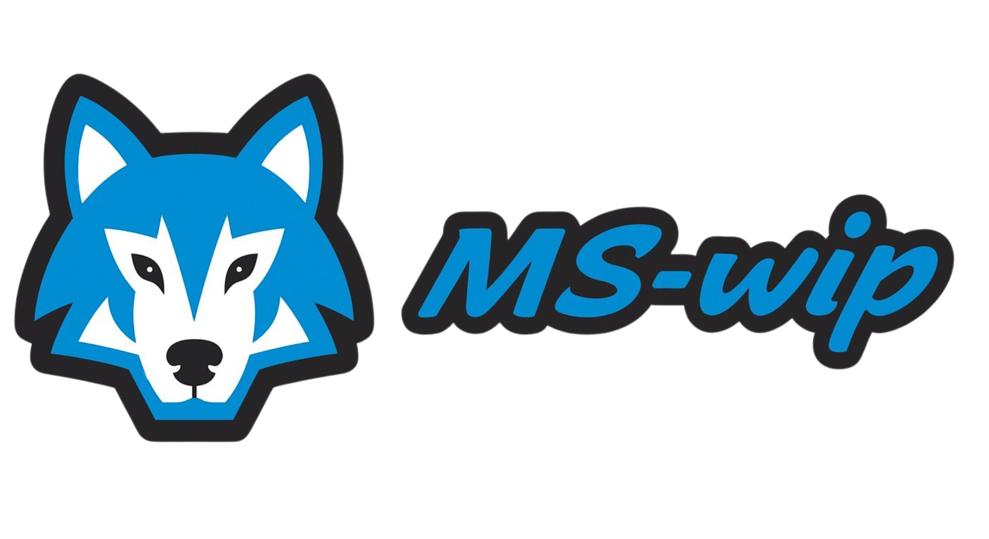 MS-Wip